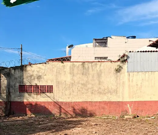 Quintal livre após o corte da árvore, com o terreno limpo