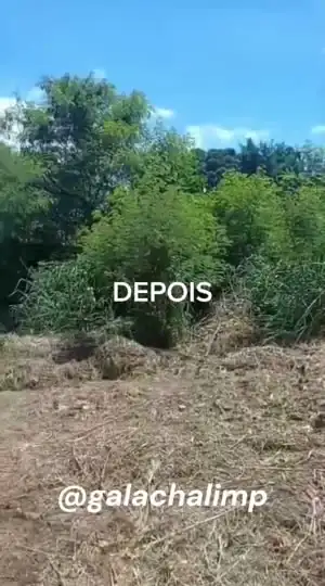 Terreno grande roçado de ponta a ponta